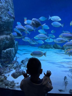 ����������� ������� �����: �� ��������� �� ���������� ��������