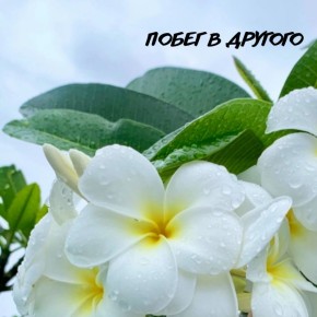 Побег в отношения: Как мы ищем спасение и понимание у других