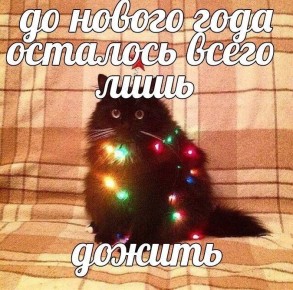 ��� ��������� ��������� ���� �����: ��������� ����� ������ ��������