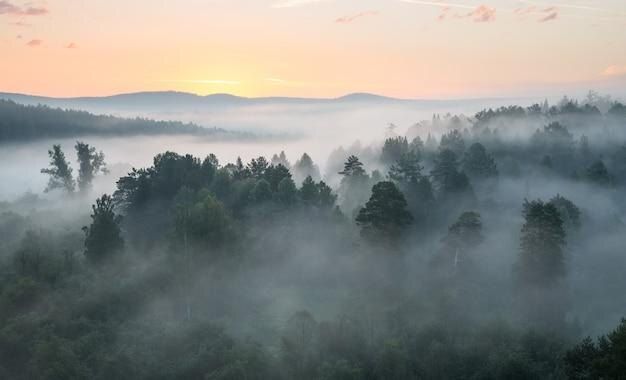 ��� ������� ������ �� ���� ����� � ��� � ���� ������