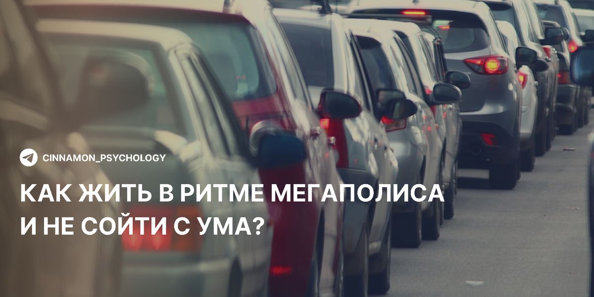 ��� ������ � ����� ����������: ������ �� �������������� � ���������� �����������