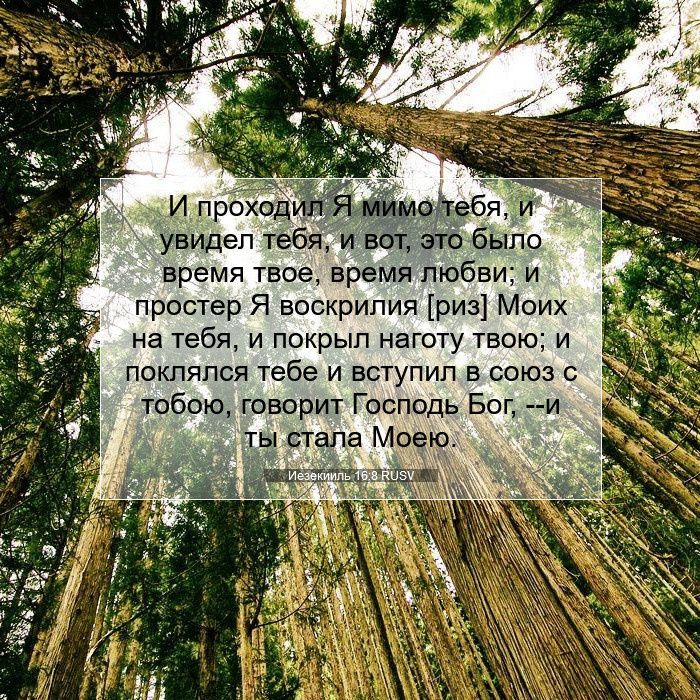 ��� ����� ������ ������ �����: ����� ��� ������� �� ���