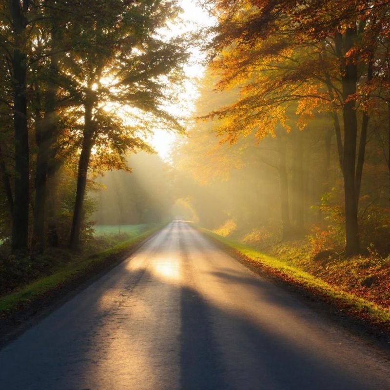 ������������� ��� ������������ �������: ��� ������� ���������� ������ ������������?