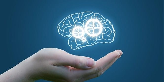 Неожиданные признаки интеллекта: как узнать о своем гениальном уме?