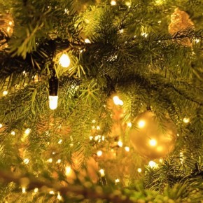 ��� ���������� � ��������������� ��������