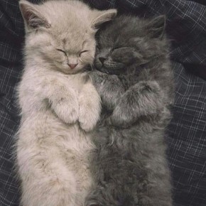 Правила, которые помогут построить карьеру мечты и сохранить баланс