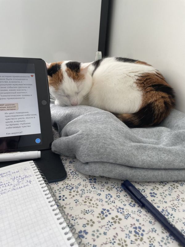 Переосмысляя концепцию «здесь и сейчас»: путь к гибкому контакту с моментом