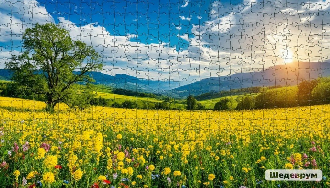 Разделение мира: дуальности в нашем восприятии