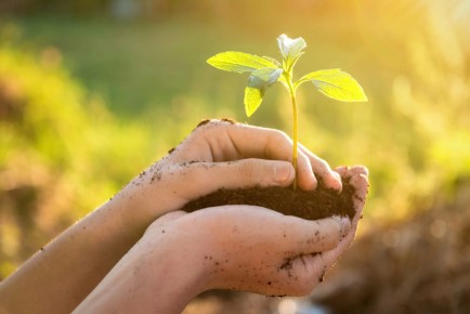 Как восстановиться после отношений с нарциссом