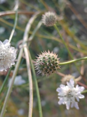Искусство быть: как научиться жить в гармонии с собой и миром