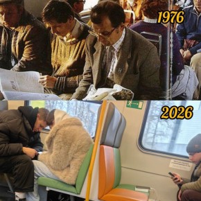 ����������� �� ����: ��� ����� �����