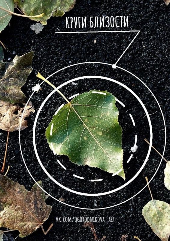 Экология отношений: ключ к восстановлению при эмоциональном выгорании