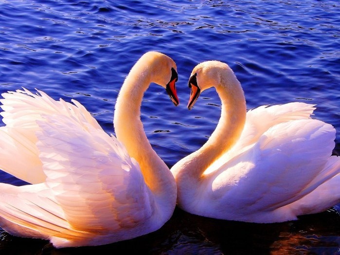 Огонь в сердцах: как сказки помогают разобраться в чувствах