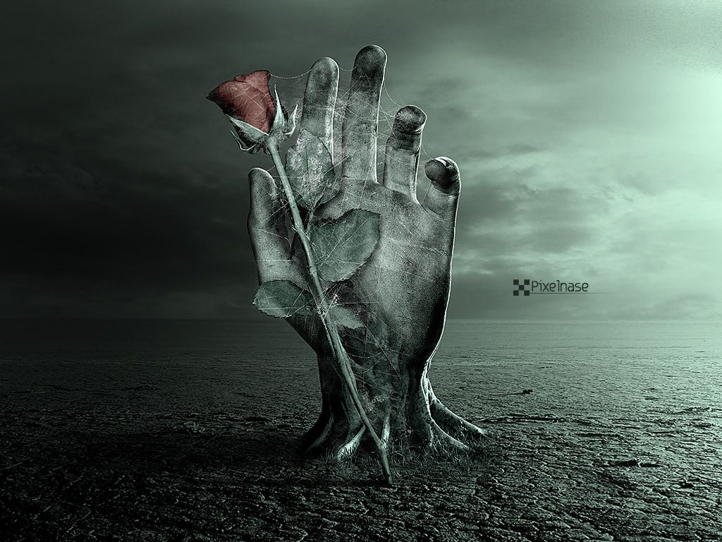 ��������� ��� ������� �� ������