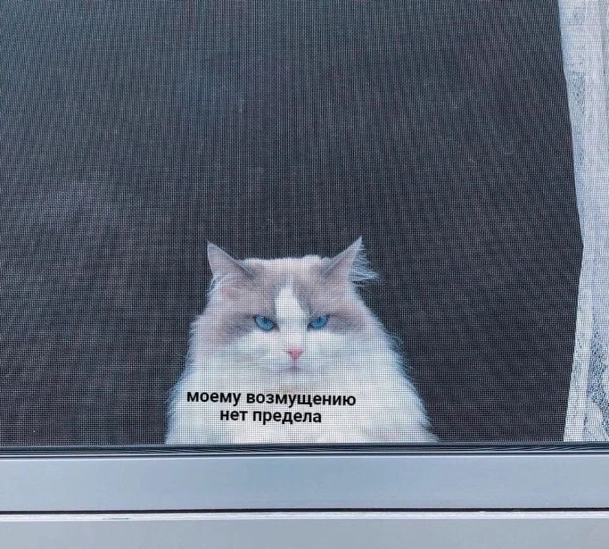 ������ ��� ������� ��� �����