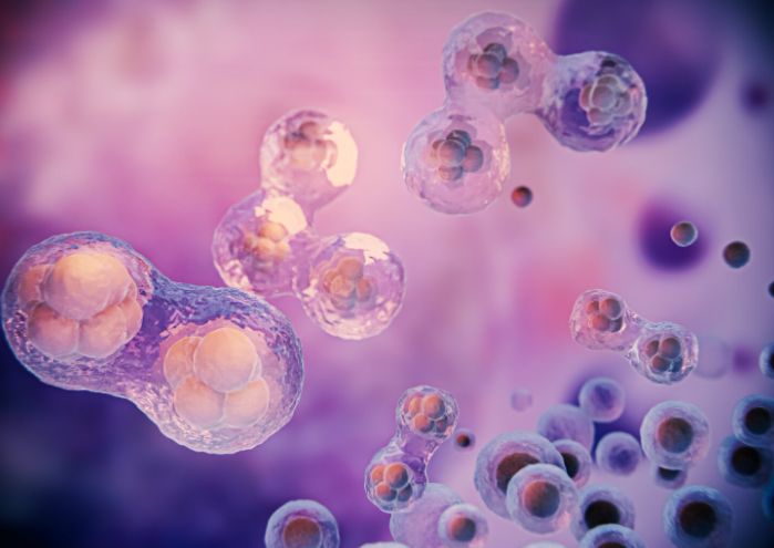 ���� � ���������: ����� �������� �������� ������������ �������