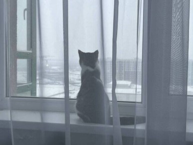 ��� ���������� ����� ������ �� ��������: ���� � ����������