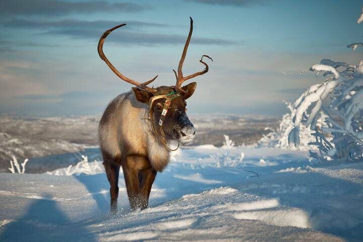 �������� ��� ������������ �������� � ������� ��� ���� �����