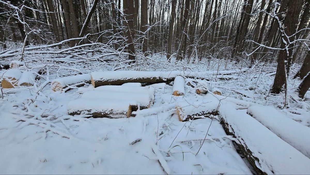 � ����� ������� ��������� �������� ����������� ��������