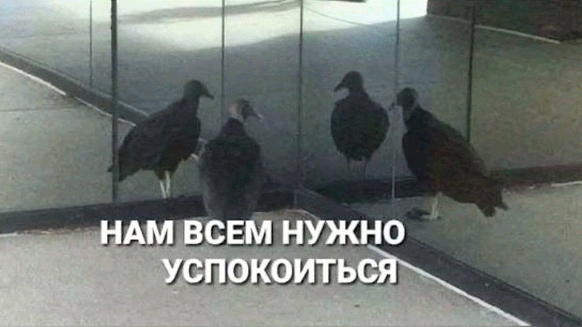 Эффективные способы борьбы с тревожностью в современном мире