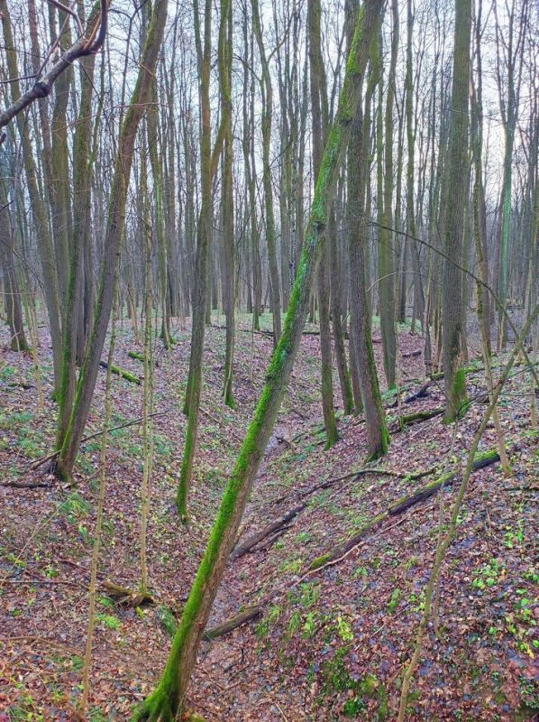 Что делать, когда жизнь словно в клетке?
