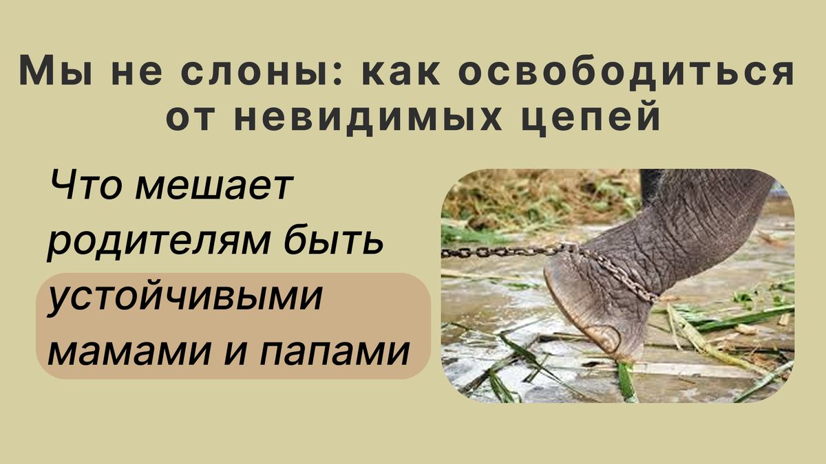 Рамки мышления: как они влияют на родителей и их реакции