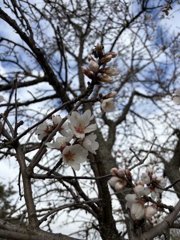 Что мешает людям обратиться к психологу: семь распространенных страхов