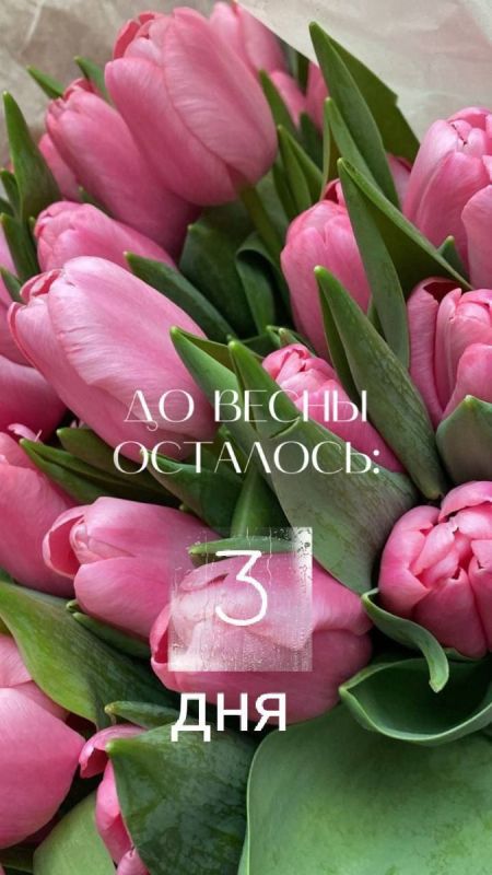 Весна на пороге: время любви и радости