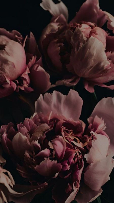 Как родительская любовь формирует нашу эмоциональную жизнь