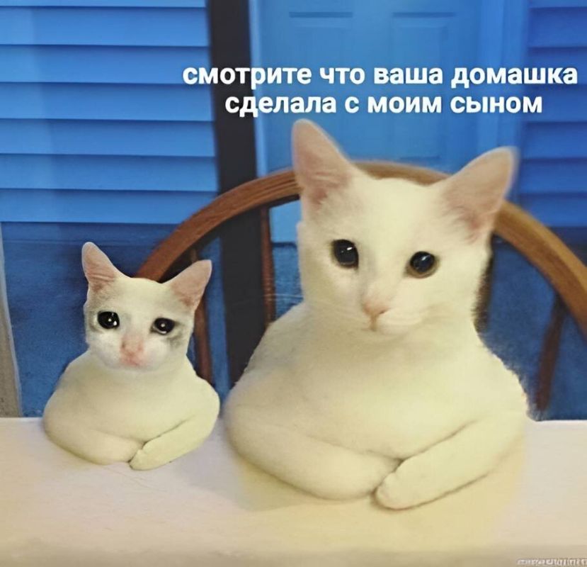 ����������� ����������: ������� ������ ��� ����������