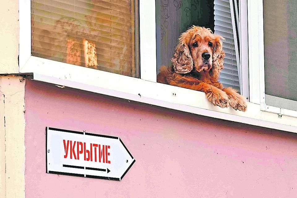 Как защитить себя от мошенничества и угроз