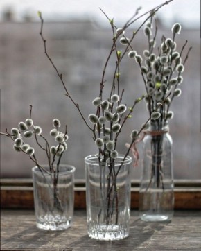 ������� �����������: ����� �������� � ������