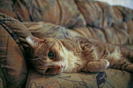 ��� ���������� � ������ �������: ����� ��� ����� �� ���������