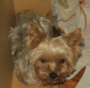 ������� �� ����: ������� � ����� � ������