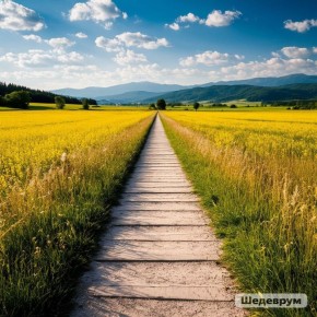 ���� �� �������: ��� ���������� ���������� ����������� �� ���� � ������