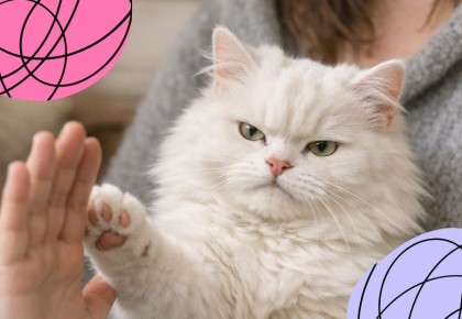 Как правильно проявить здоровую агрессию и поставить себя на первое место