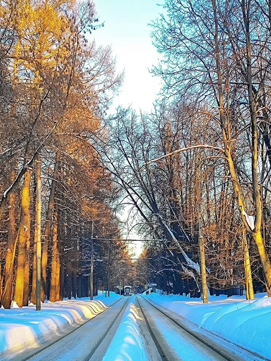 Когда зима уступит место весне: мечты о трамвайном путешествии