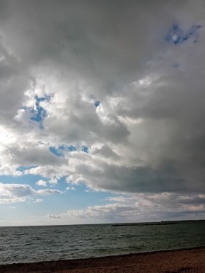 ����� ������ ���������� ����������