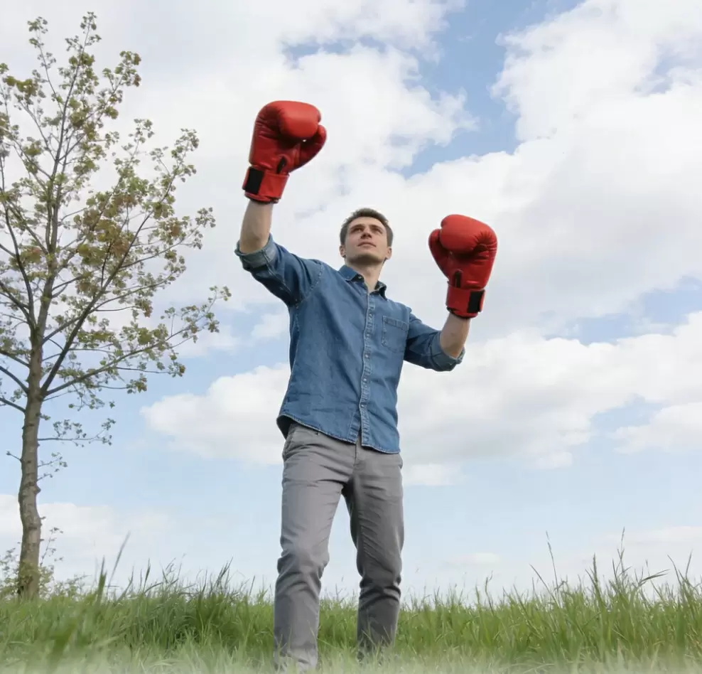 Борцы в боксерских перчатках: кто они на самом деле?