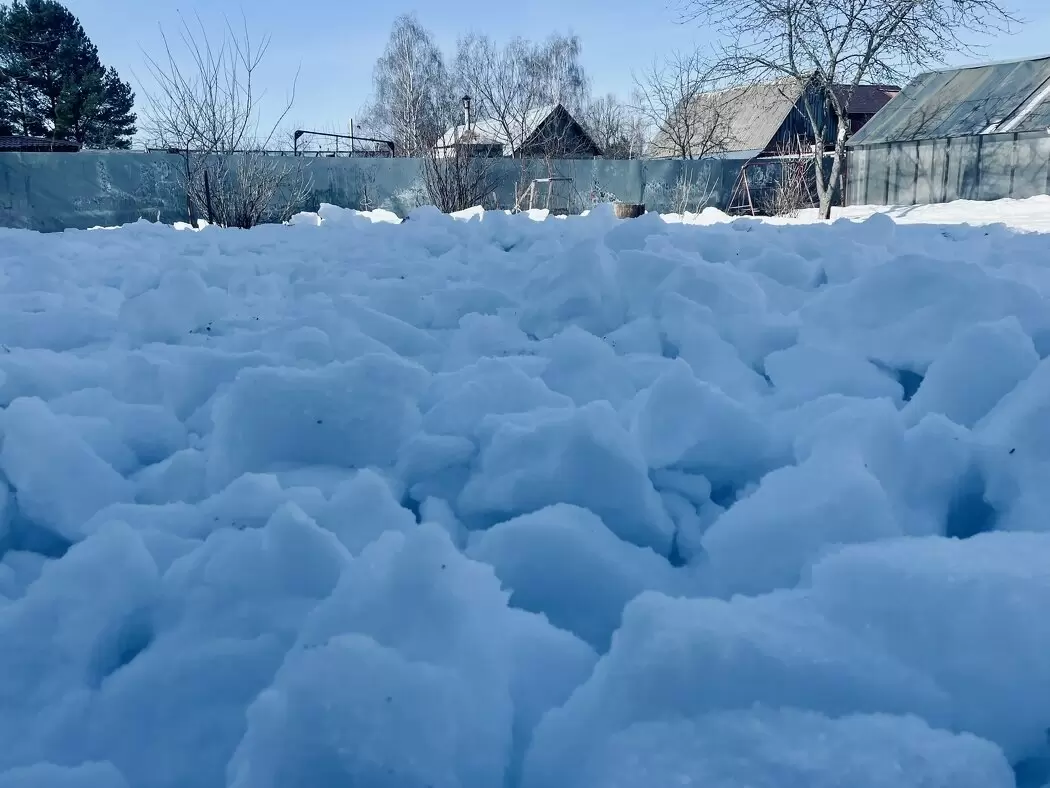 Весенние телесные практики