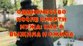 Как пережить потерю: история о восприятии жизни после утраты