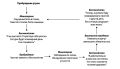 Когнитивная модель бессонницы: дневные аспекты
