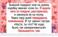 Когда праздник становится комедией: 17 курьезных историй